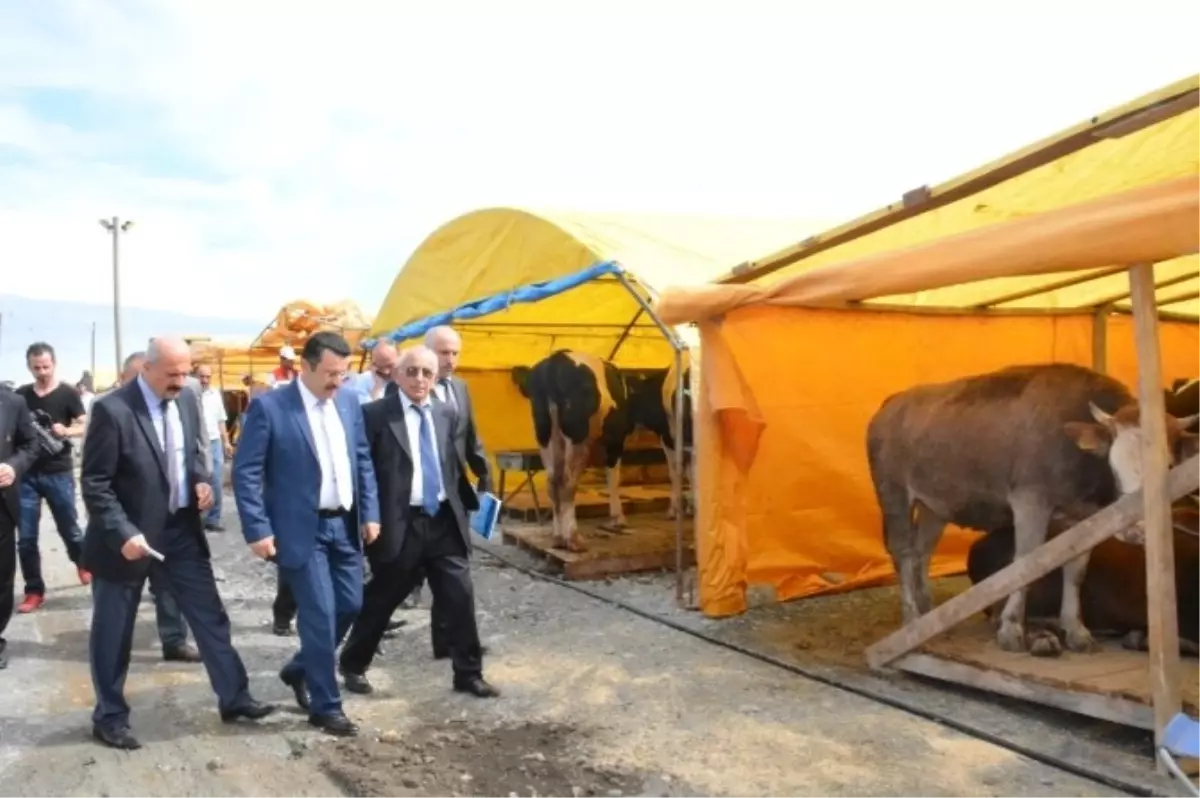 Ortahisar Belediye Başkanı Genç Kurban Alanını Denetledi