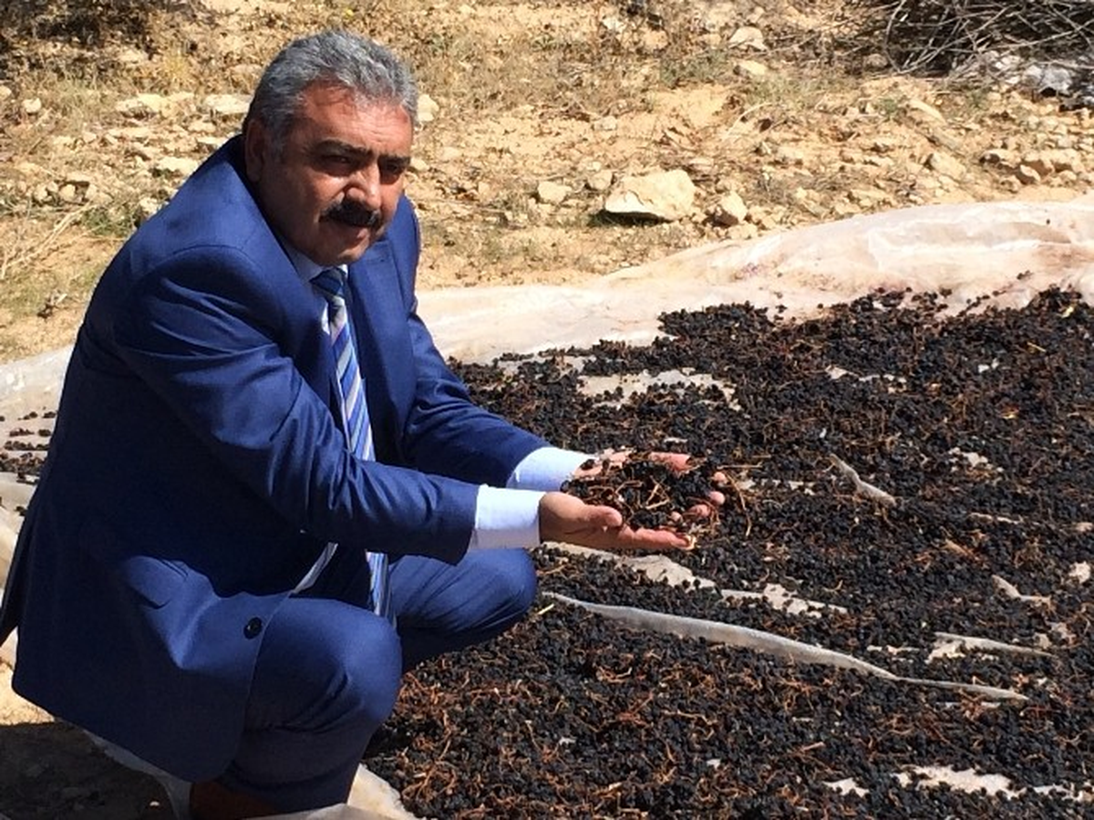 "Ekşikara Üzümü Karaman\'ın Markası Olacak"