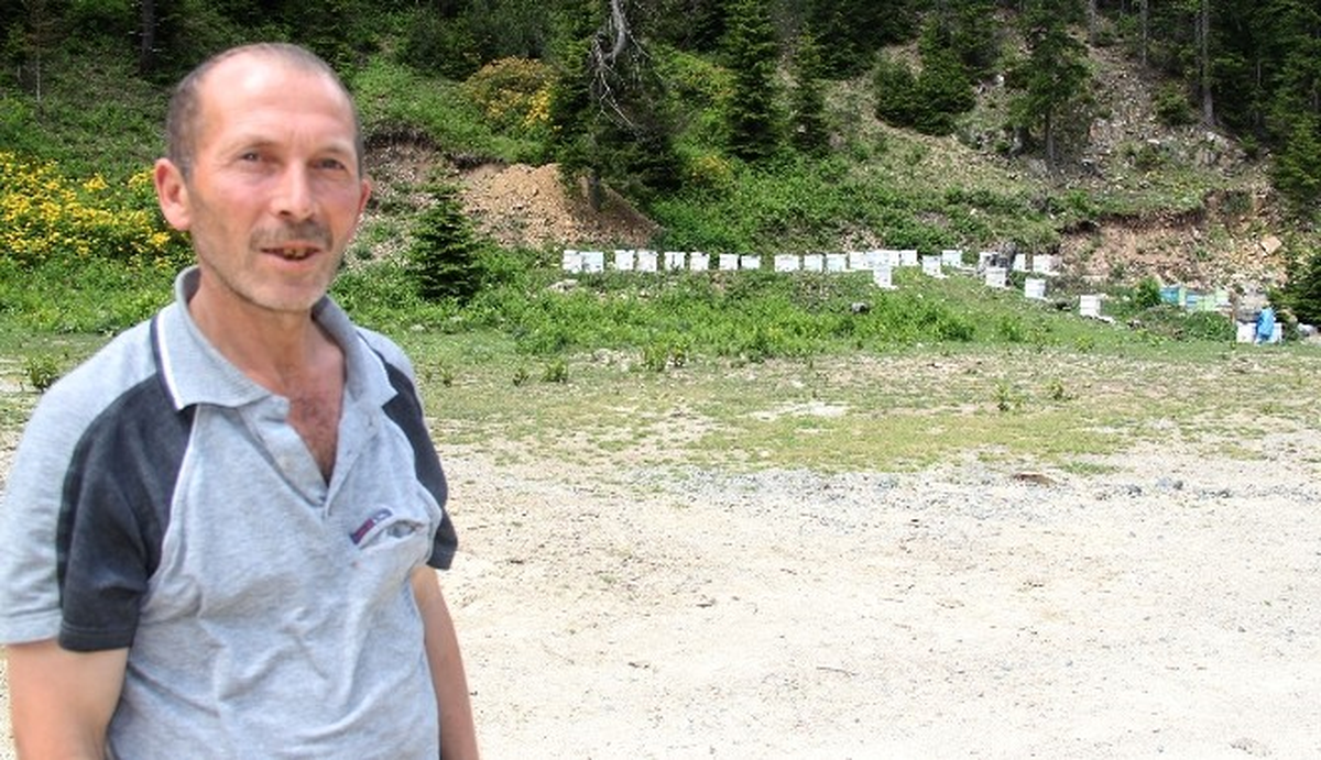 Fındıktan Sonra Bal Rekoltesi de Düşük