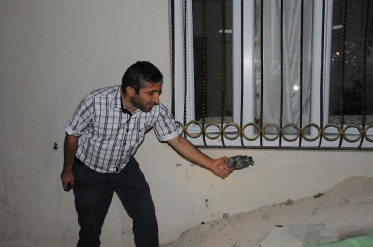 HDP\'li Başkan\'dan Polise Gaz Tepkisi