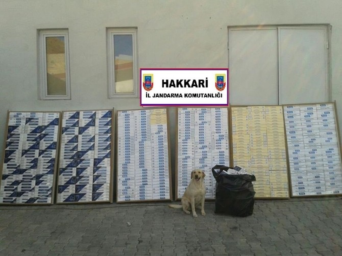 Yüksekova\'da 6 Bin 350 Paket Kaçak Sigara Ele Geçirildi