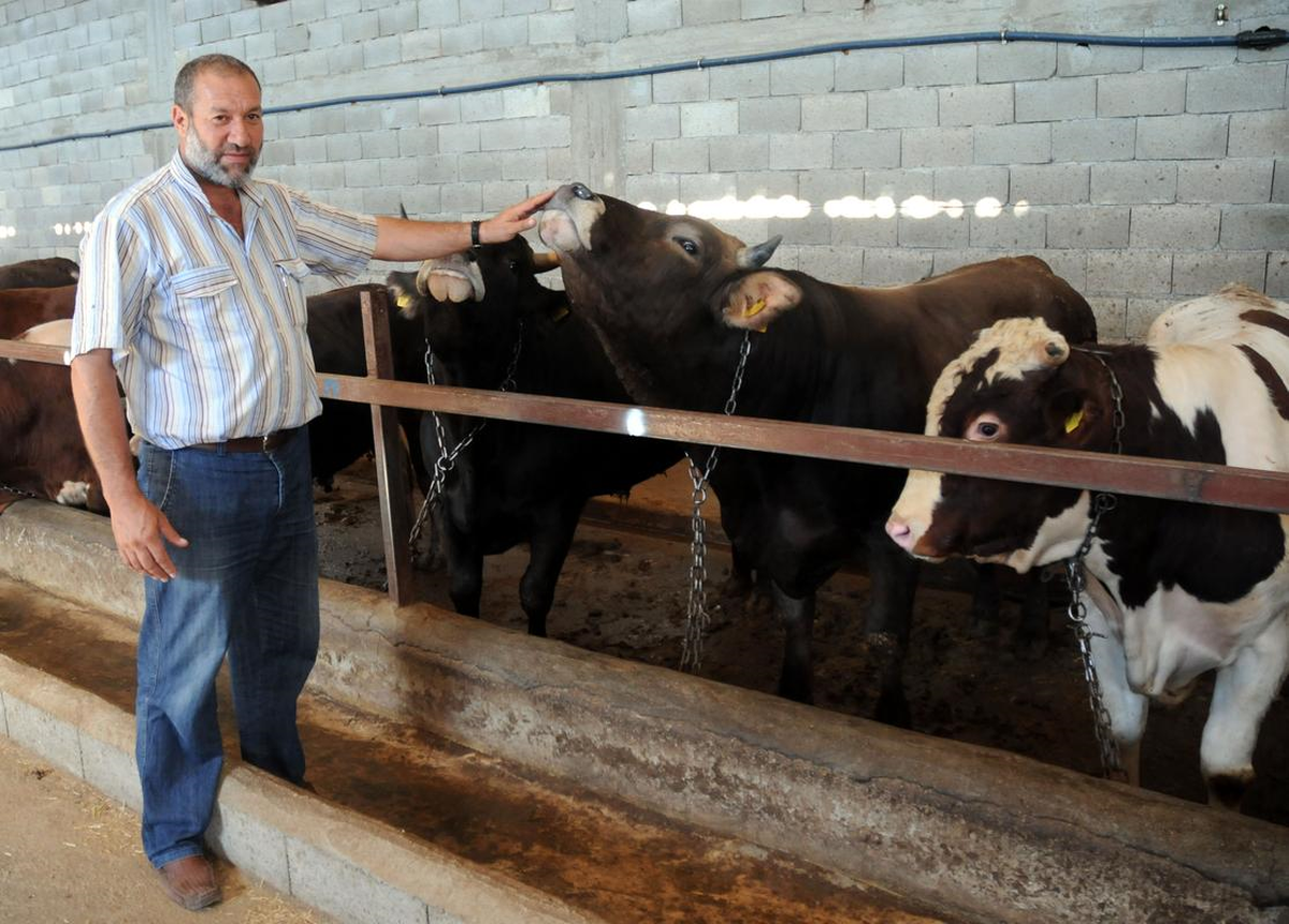 Kurbanlıklara Halk Müziği Dinletiyor