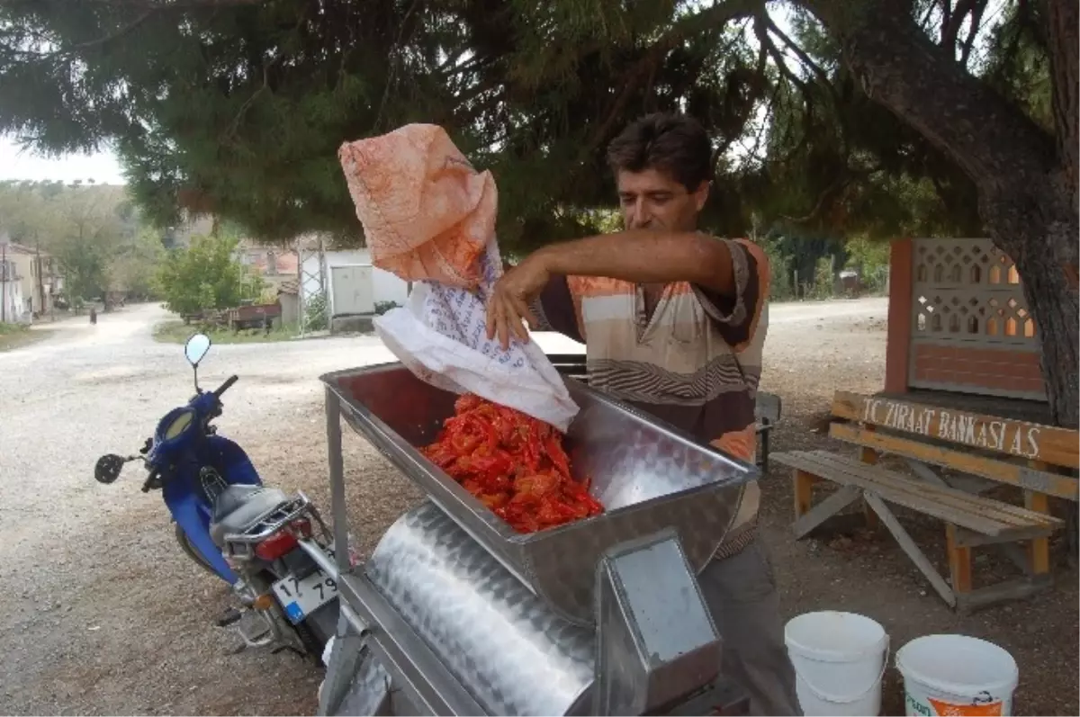 Seyyar Salça Fabrikası