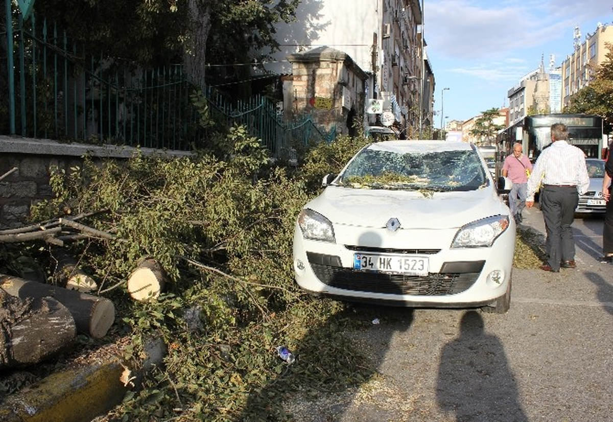 Üsküdar\'da Ağaçlar Araçların Üzerine Devrildi