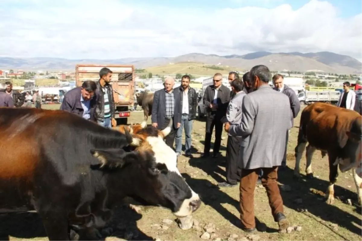 Vali Deniz, Hayvan Pazarını Gezdi