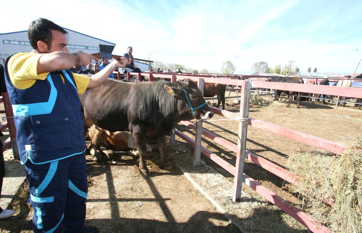 İstanbul'da Kaçak Kurban Yakalama Timi Kuruldu
