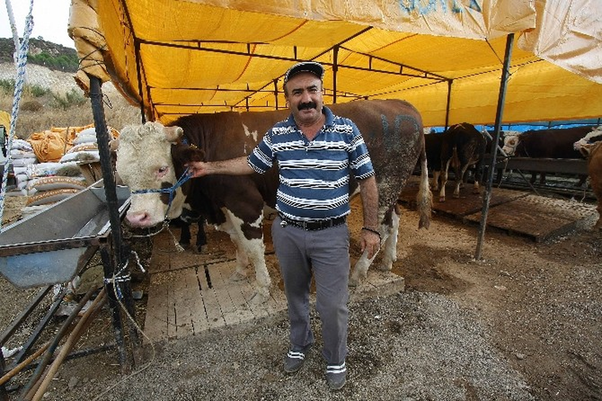 Böyle Kurban Pazarına Can Kurban