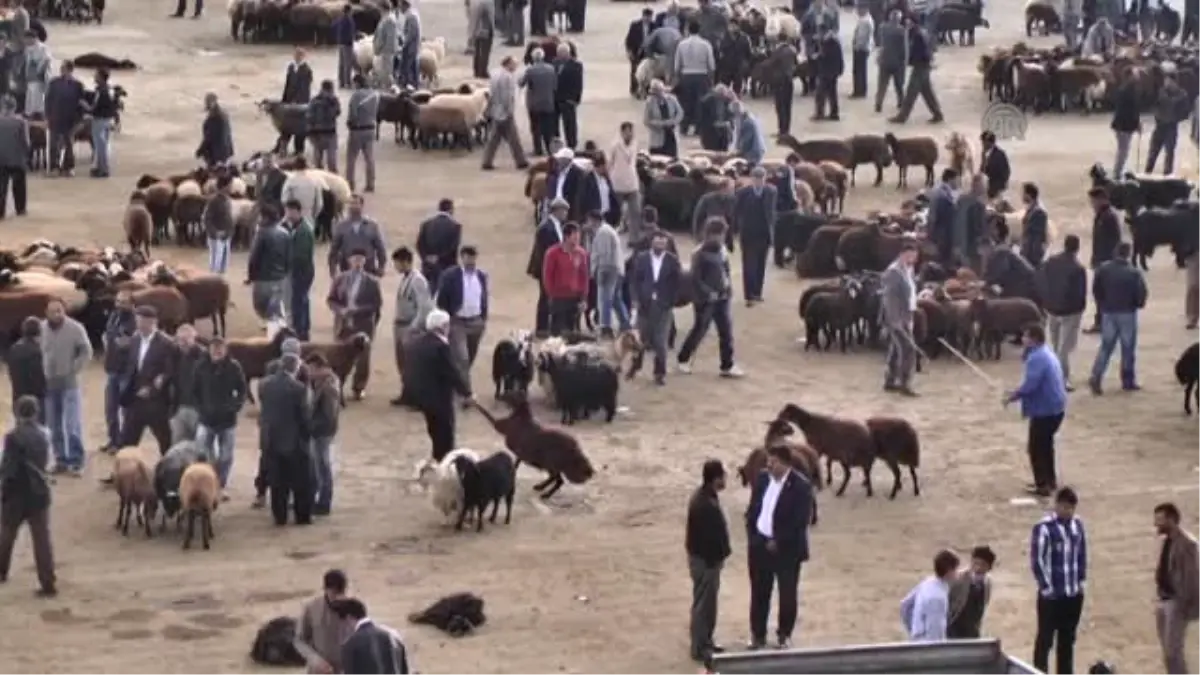 Hayvan Pazarında Hareketlilik Yaşanıyor