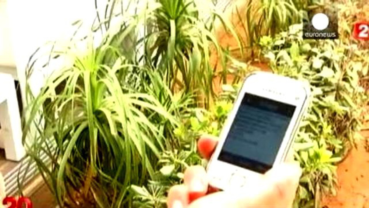 Işid\'in Cihad Çağrısı Batıyı ve Kuzey Afrika\'yı Alarma Geçirdi