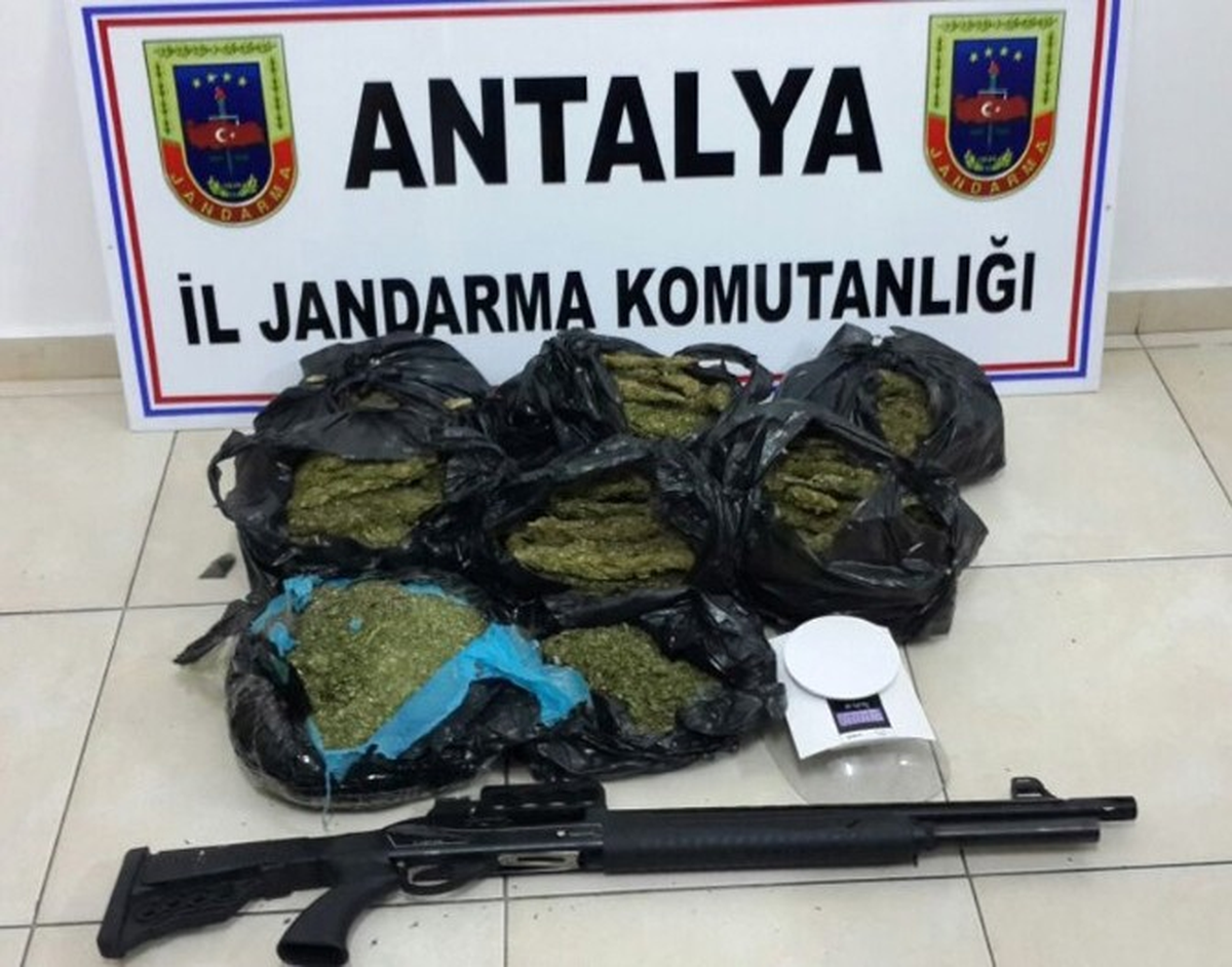 Jandarmadan Uyuşturucu Operasyonu
