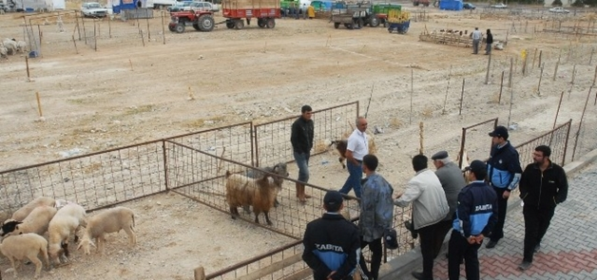 Karaman'da Kurban Satış ve Kesim Yerleri Belli Oldu