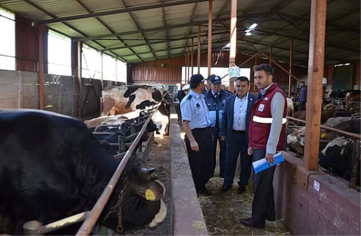 Kartepe Belediyesi Bayrama Hazır