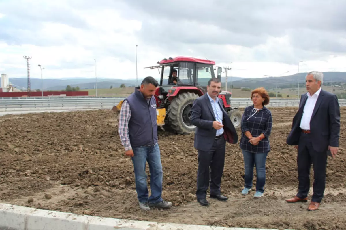 Kavak Belediyesinin Çalışmaları