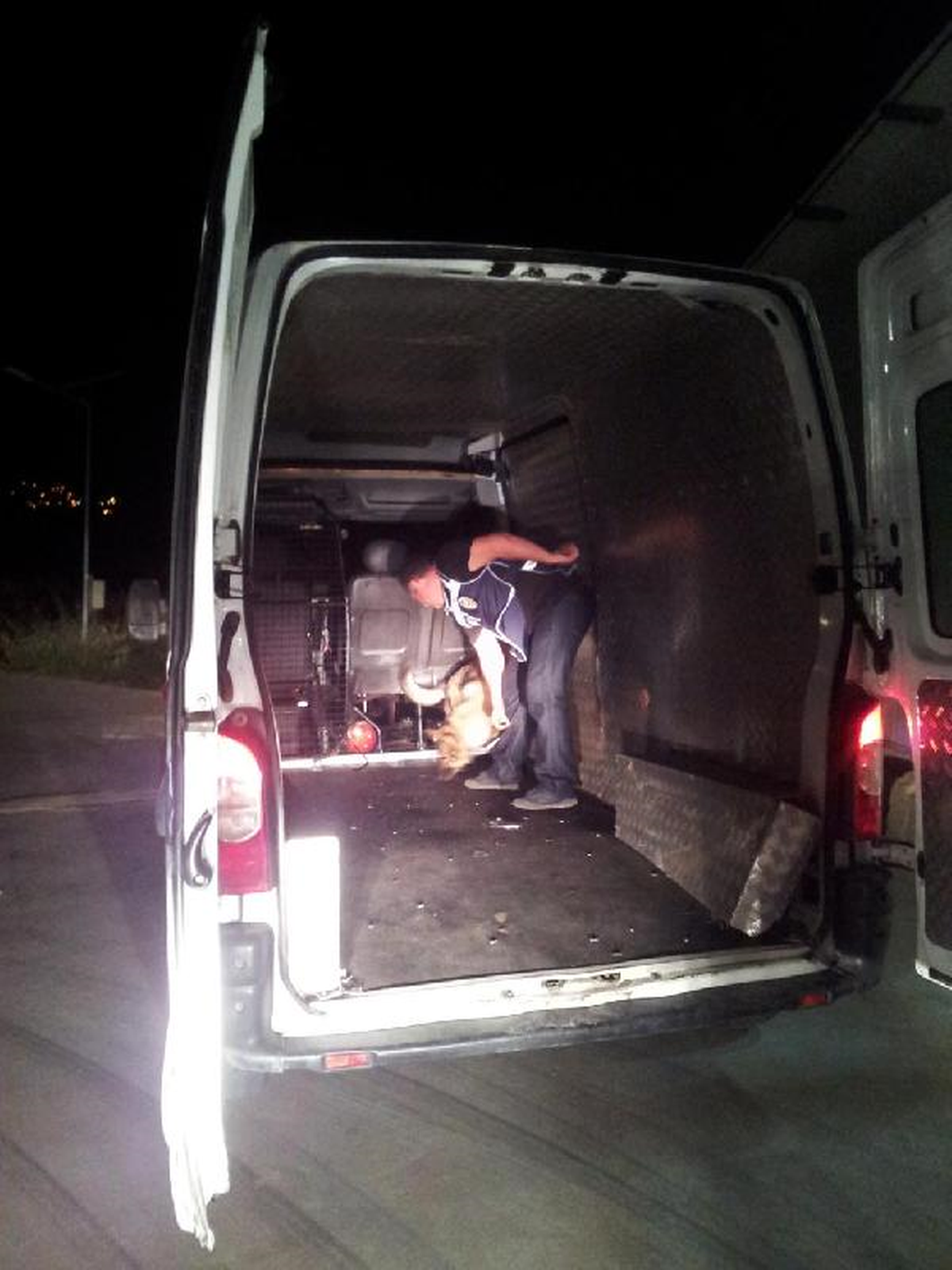 Polis Köpeği \'Ece\', Minibüste 82 Kilo Eroini Buldu