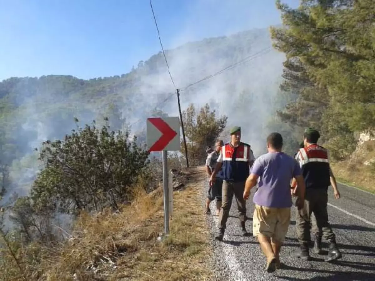 Anamur\'da Orman Yangını