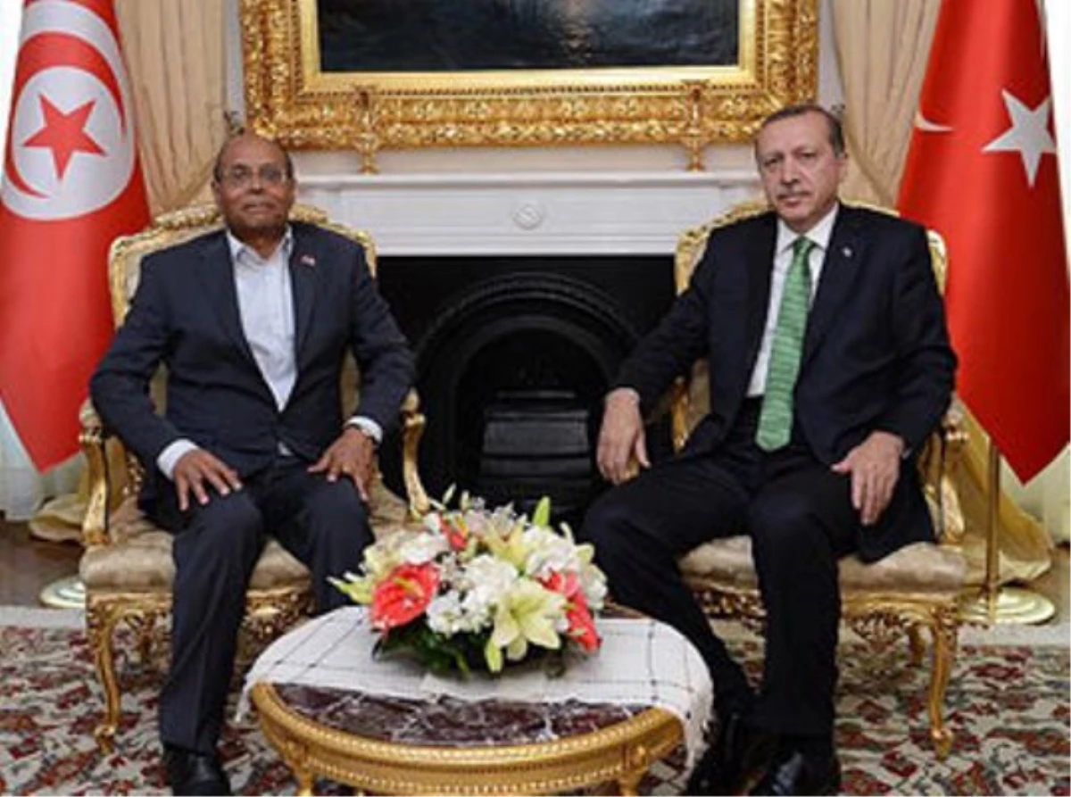 Erdoğan, Tunus Cumhurbaşkanı Muhammed Munsif Merzuki\'yle Görüştü