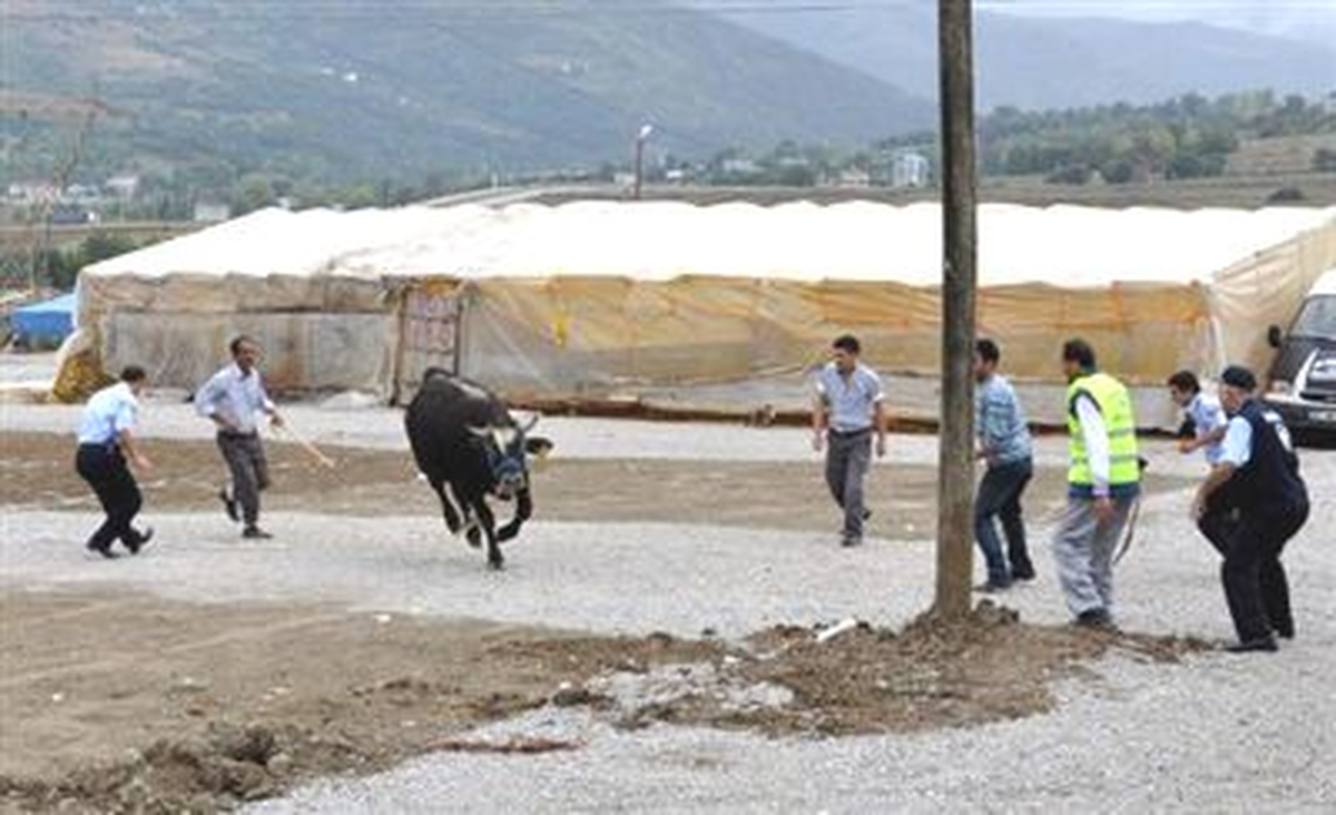 "Kurban Yakalama Timi" Antrenmanlara Başladı