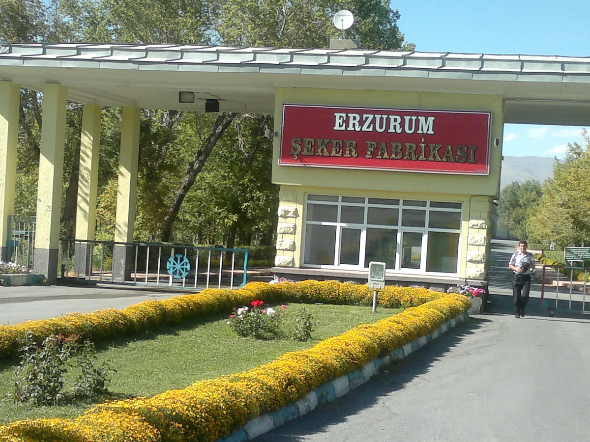 Erzurum\'da Günlük 500 Ton Şeker Üretilecek