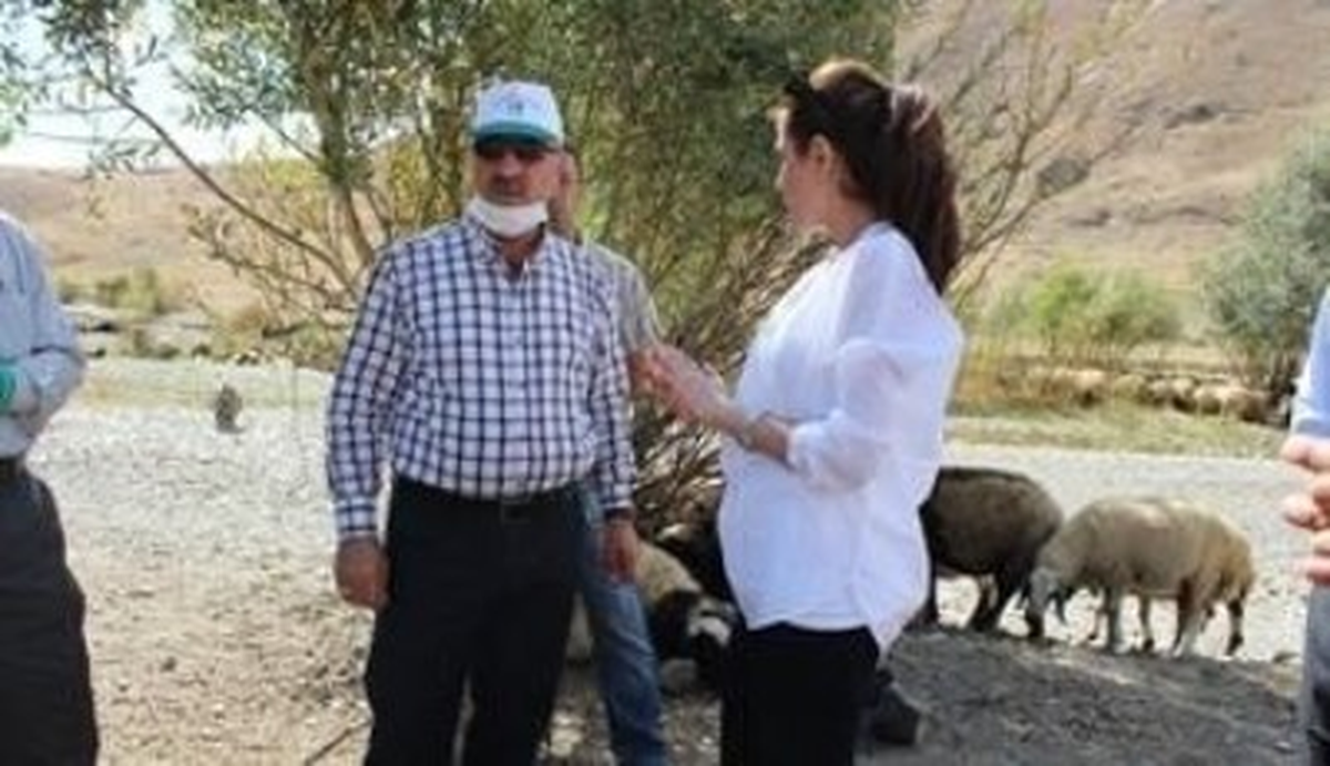Hakkari\'de Hayvan Sağlığı Taraması Yapıldı