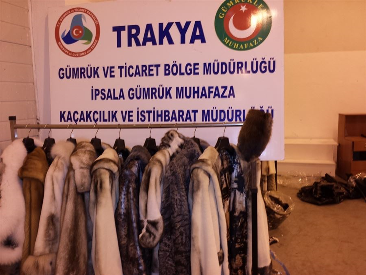 İpsala Gümrük Kapısı\'nda "Vizon Kürk" Ele Geçirildi