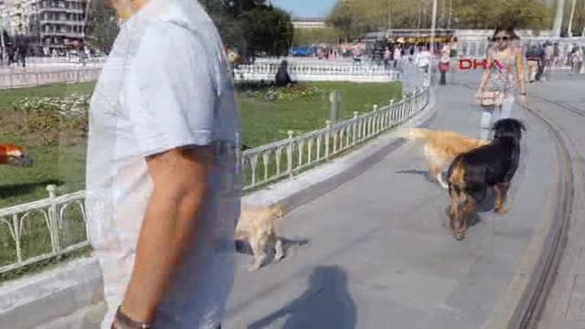 Taksim\'de Bir Kınalı Kuzu...