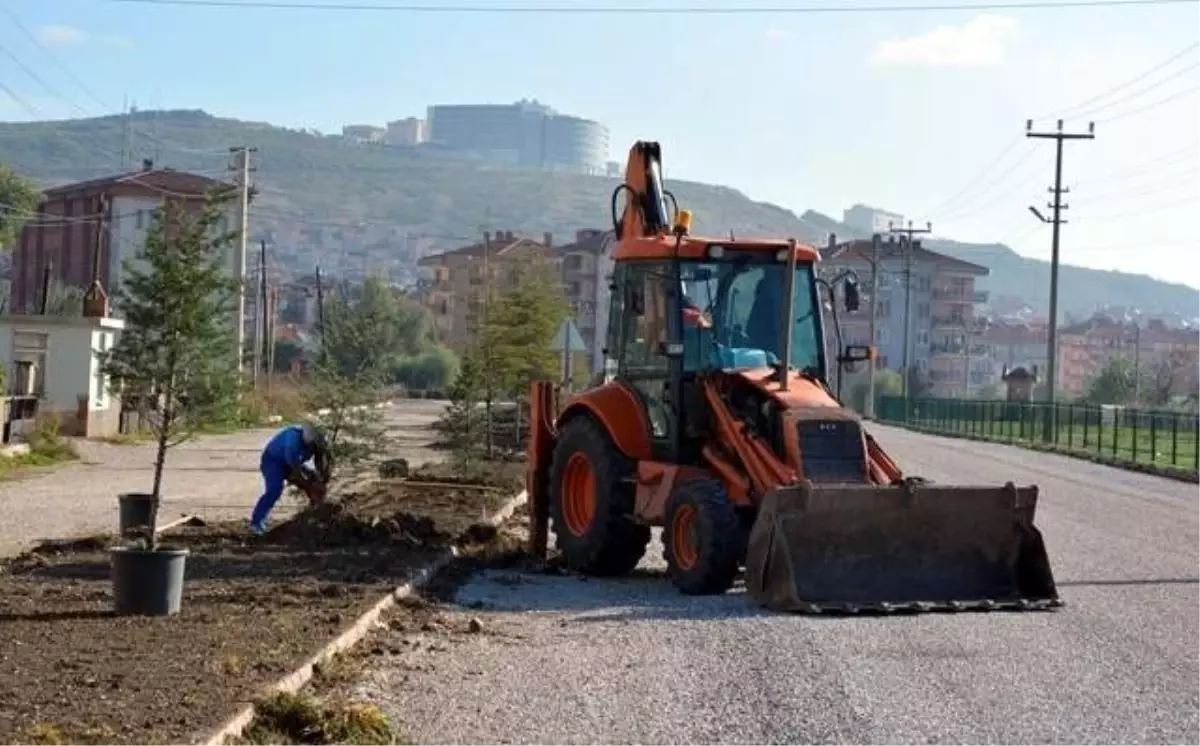 Tavşanlı\'da Yeni Fidanlar Toprakla Buluşuyor