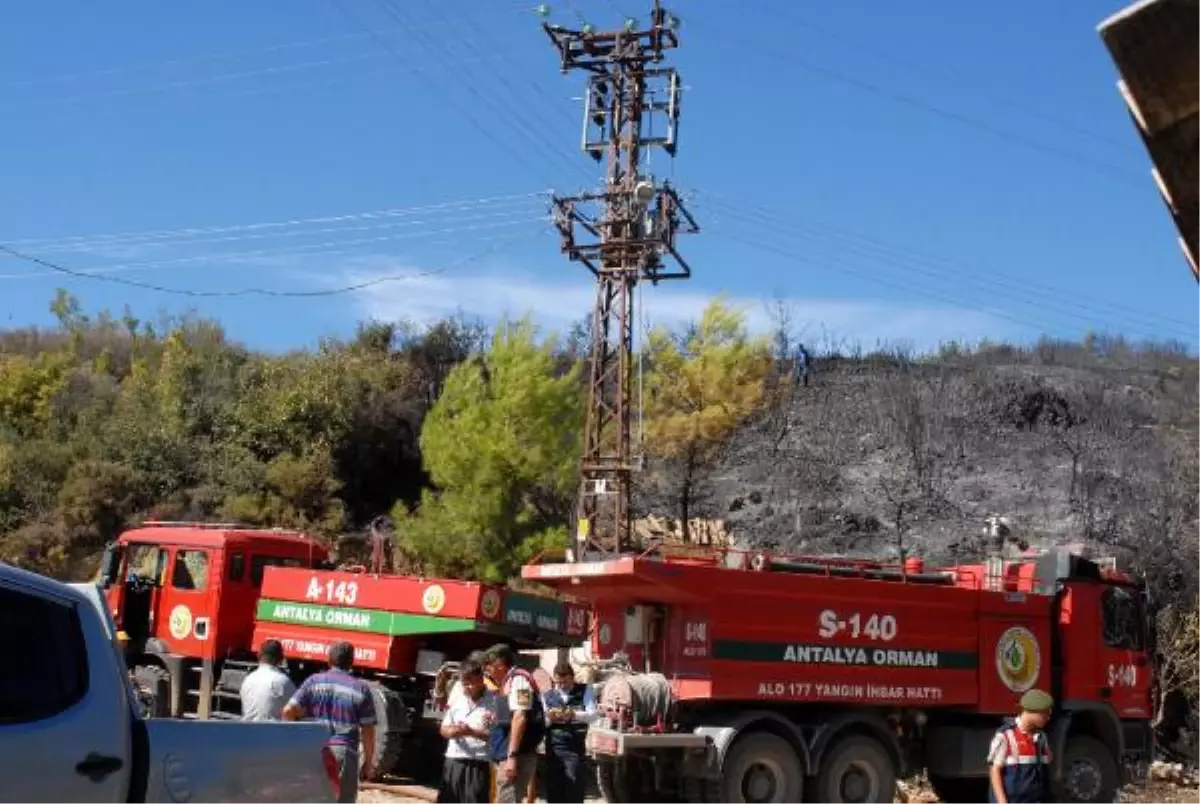 Antalya\'da Trafodan Sıçrayan Kıvılcım 10 Dekar Ormanı Yaktı