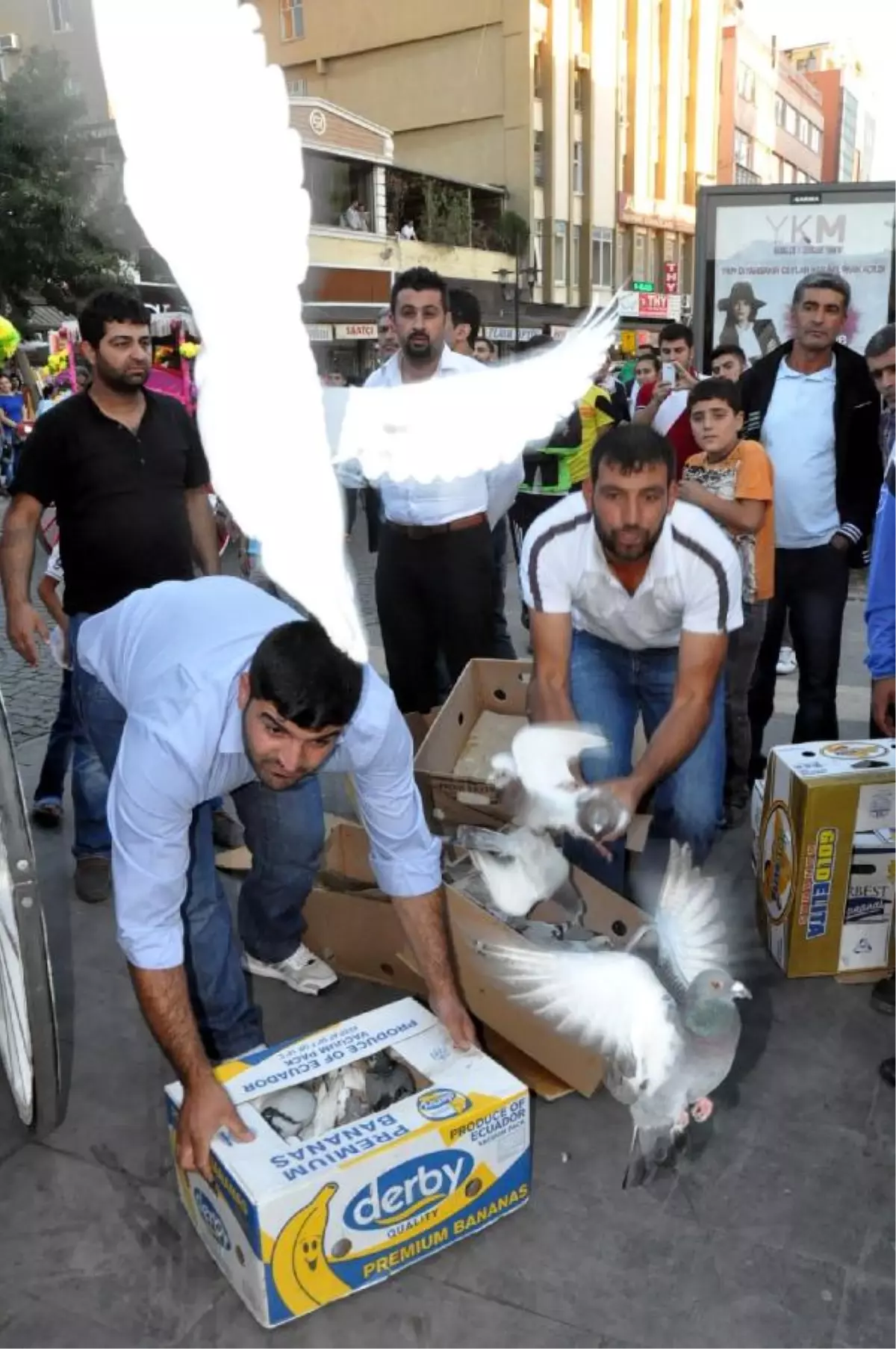 Diyarbakır\'da Barış Güvercinleri Uçuruldu