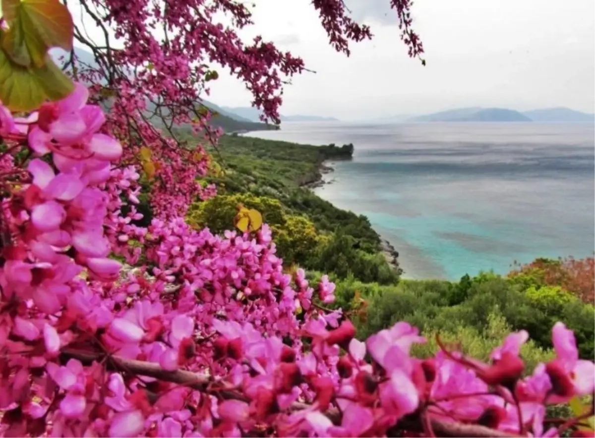 Kuşadası ve Bölgenin Güzelliklerini Tanıttılar