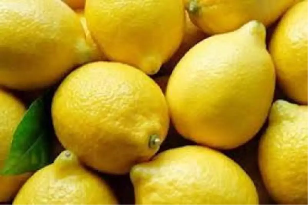 Nar ve Limonda Fiyat Yükseldi, Hırsızlık Arttı