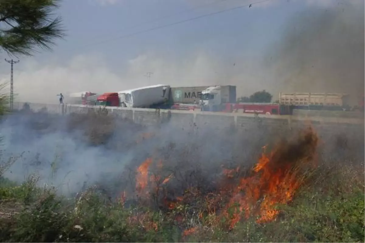 Otları Yakıp Kazaya Neden Olduğu İddiasıyla 2 Belediye Çalışanı Tutuklandı