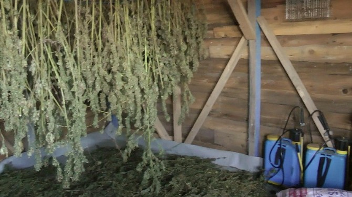 Sakarya\'da 34 Kilo Kubar Esrar Ele Geçirildi