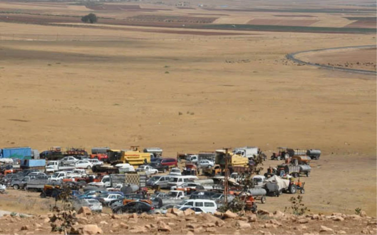 Şansal, \'Kobani düşecek\' Haberini Yalanladı