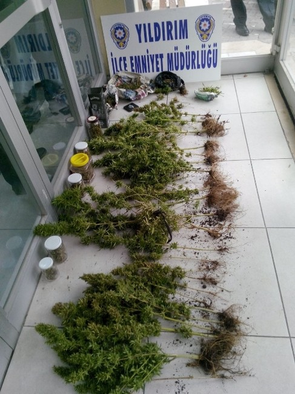 Evinin Çatısında 25 Kök Kenevir Ele Geçirildi