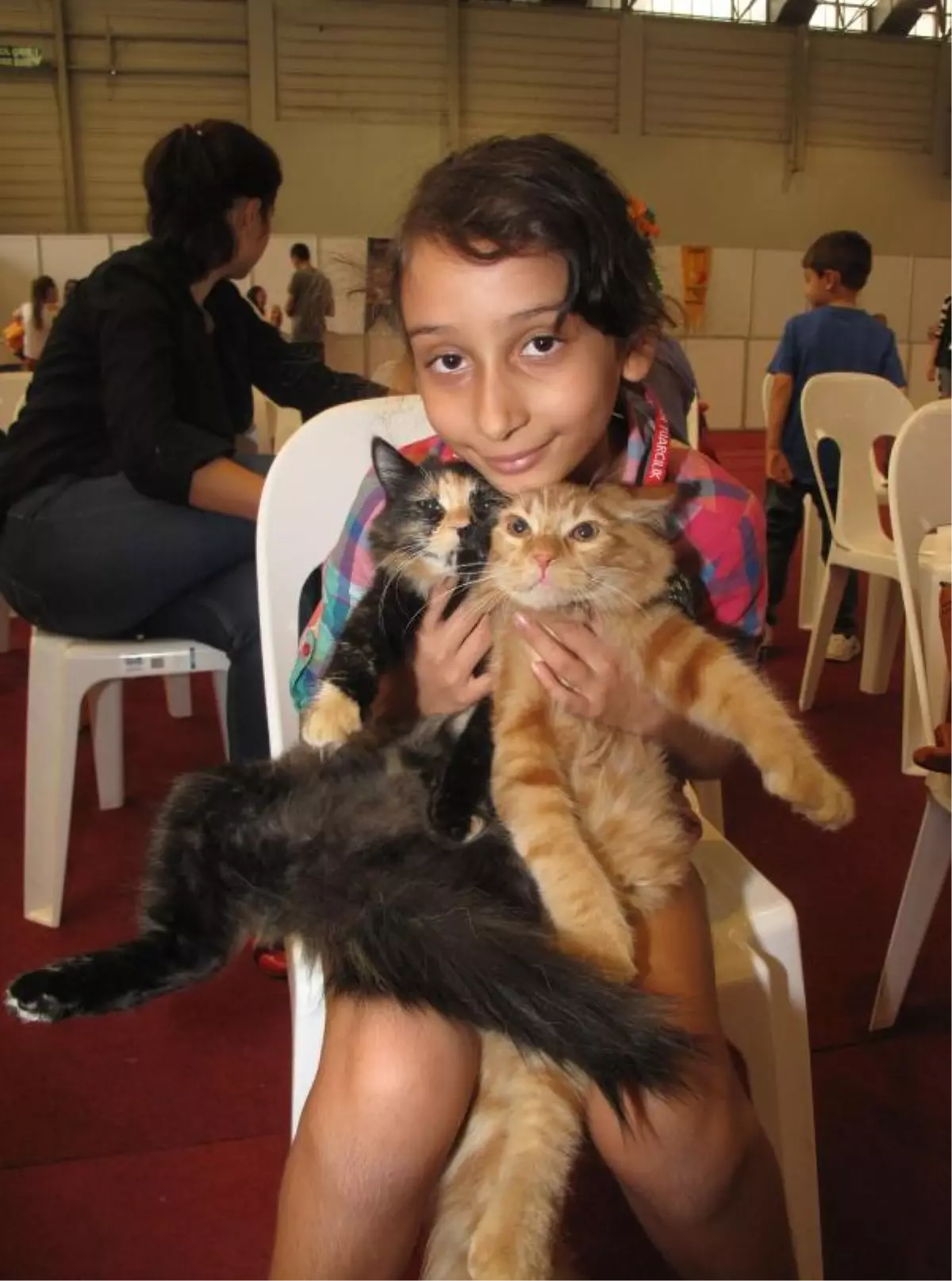 Evcil Hayvan Show Fuarının, En Güzel Kedisi \'Şiva\' Oldu