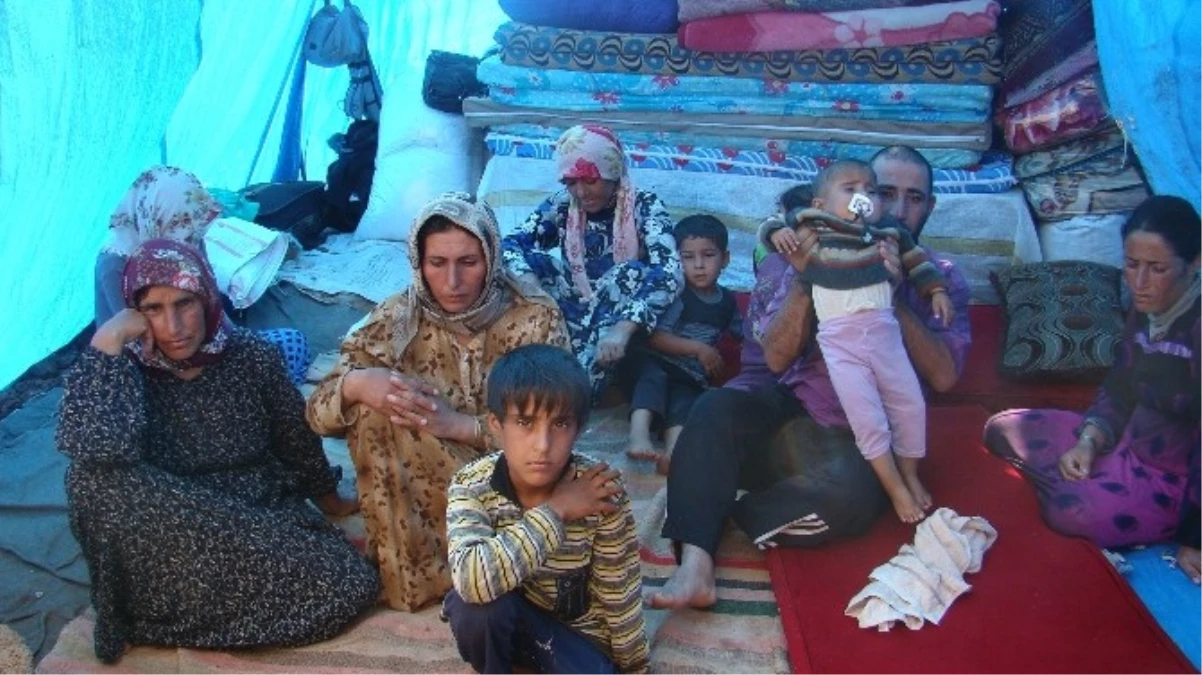 IŞİD\'den Kaçan Kürtler, Kırıkhan\'a Geldi