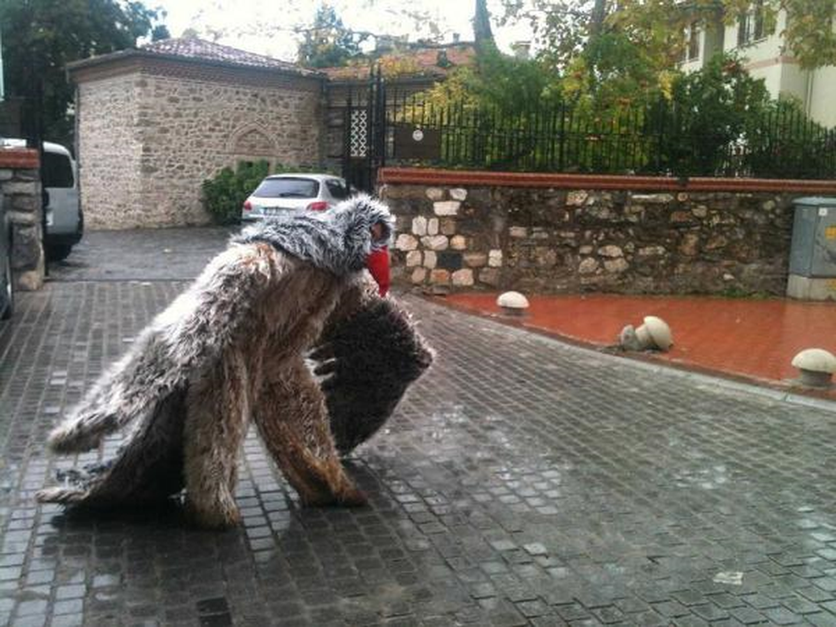 Kartal Kıyafetiyle Surlara Çıkınca Polis İndirdi