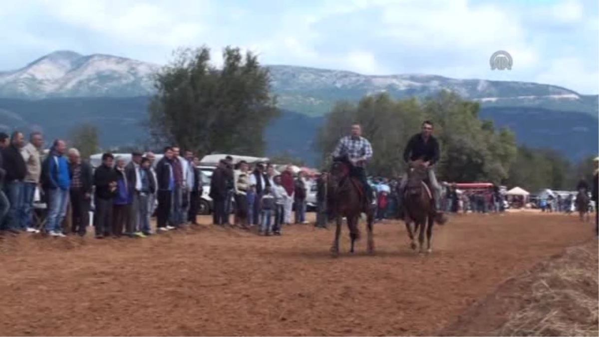 Muğla\'da Rahvan At Yarışları Yapıldı