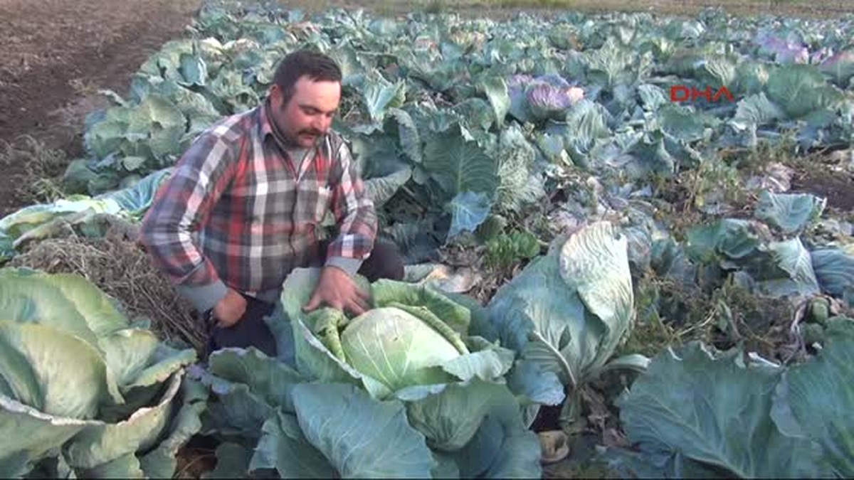 Kars Tarım İşçilerine Kaymakalıktan Konteyner Ev