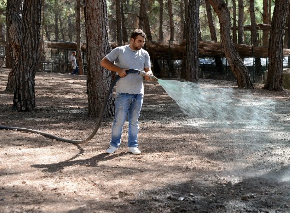 Kumluca Sarnıç Tepesi 1,5 Ay Piknikçilere Kapalı