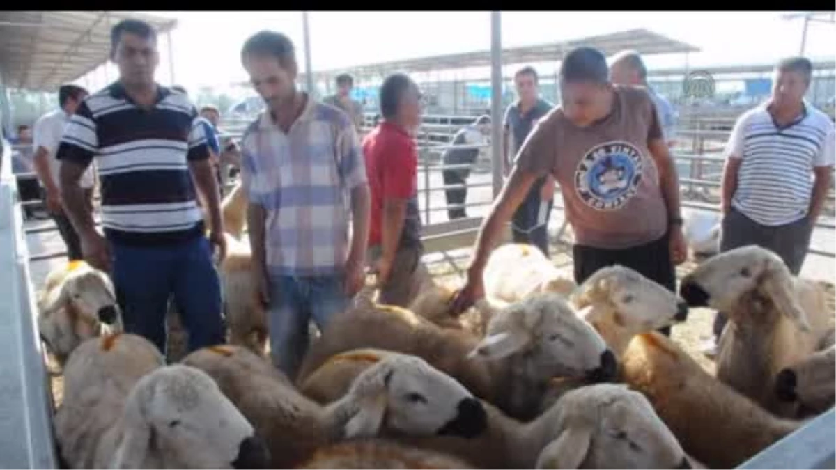 Kurban Bayramına Doğru