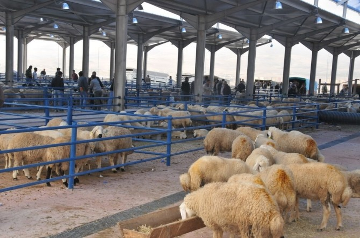Kurban Kesim Yerleri Belirlendi
