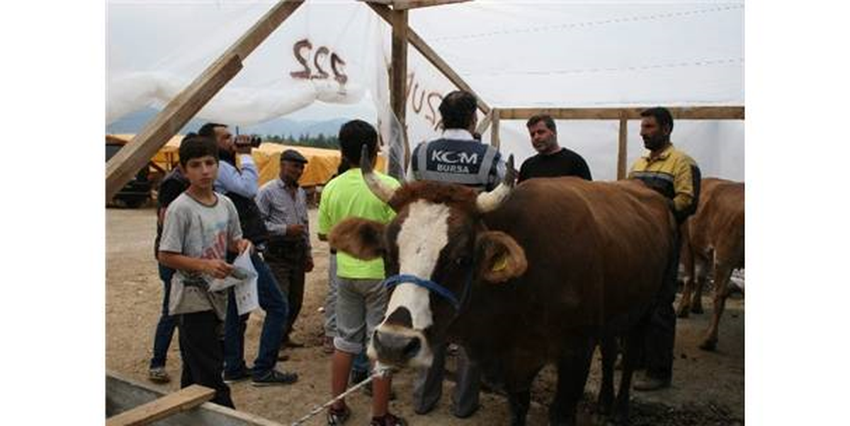 Kurban Pazarında Sahte Para Uyarısı