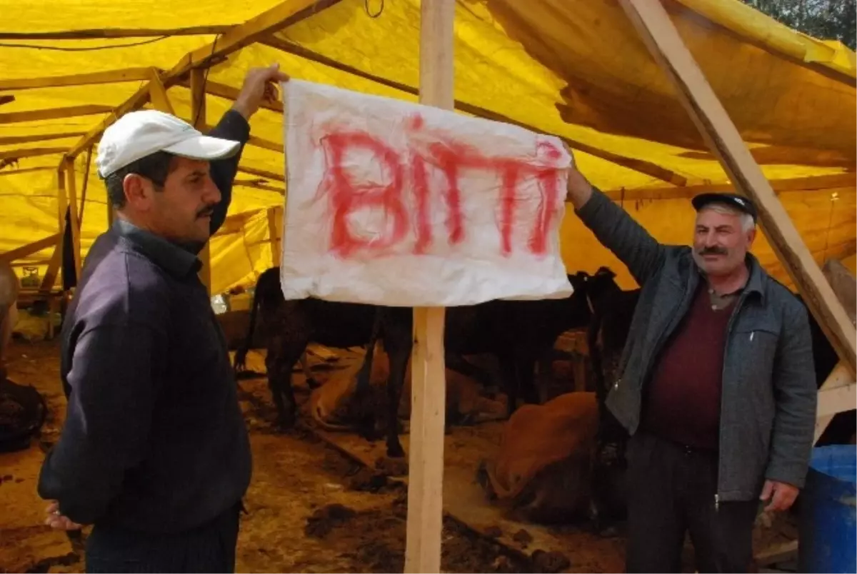 Kurban Satıcıları "Bitti" Yazısı Asmaya Başladı