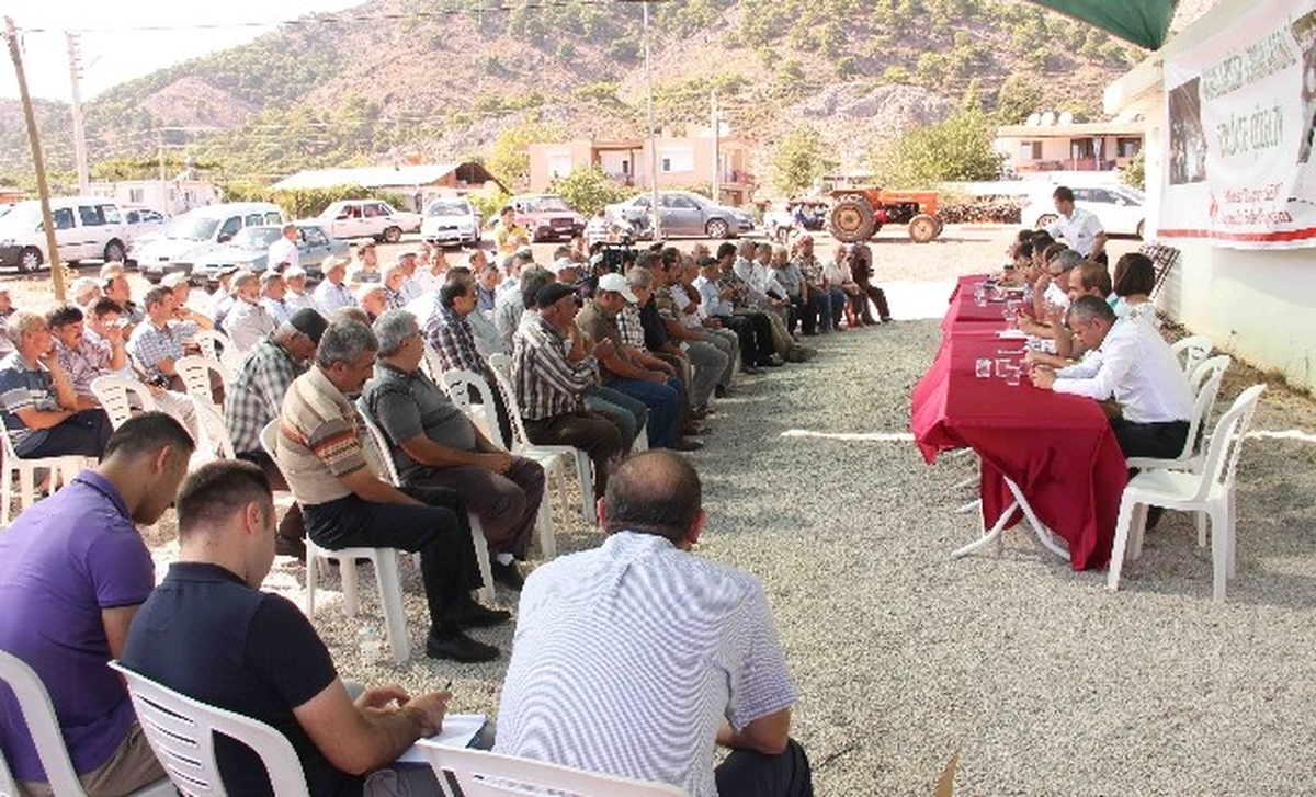 Nar Üreticisine Müjde