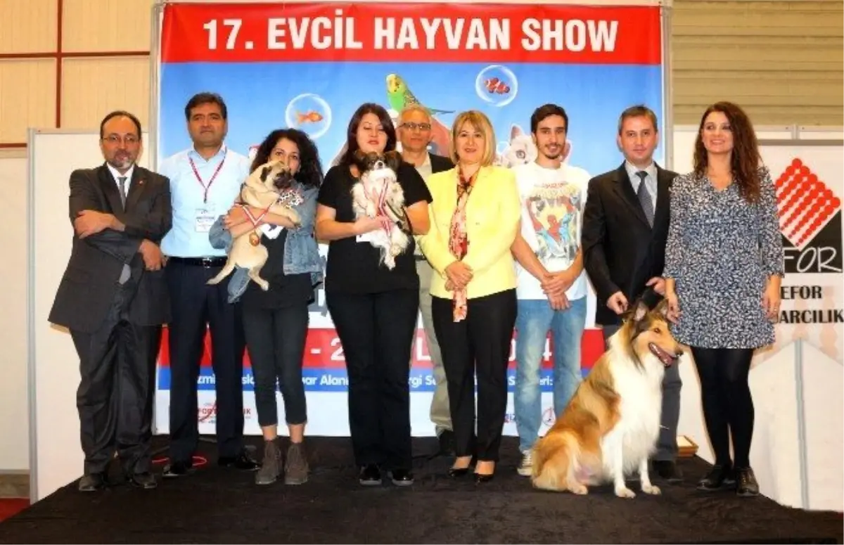 Pet Show 2014\'ün En Güzel Köpeği Felix