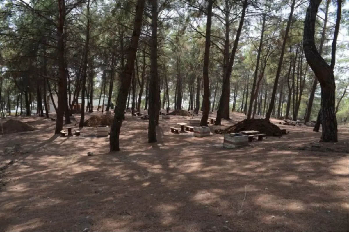 Sarnıç Tepesi 1,5 Ay Piknikçilere Kapalı