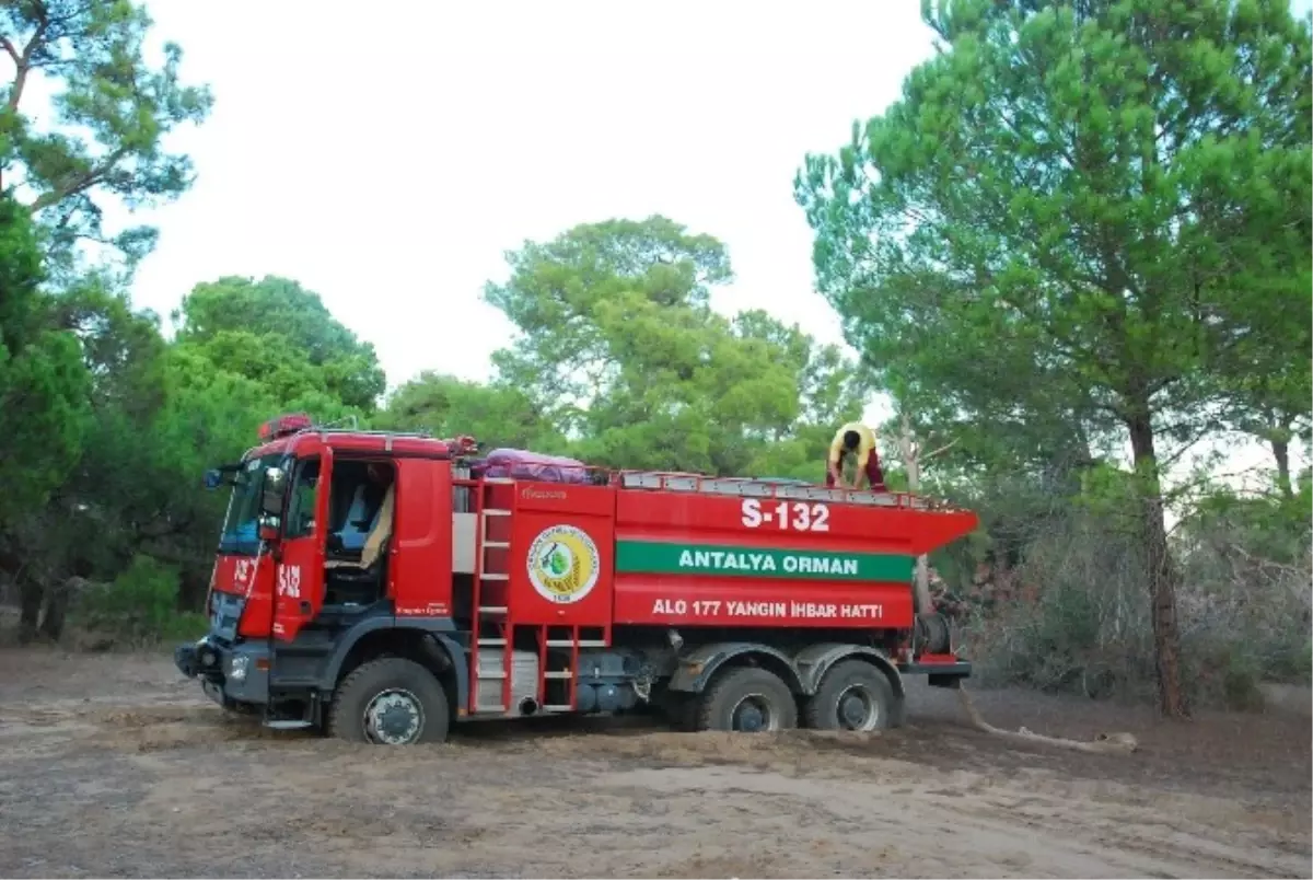 Sorgun Çamlığı\'nda Orman Yangını Korkuttu