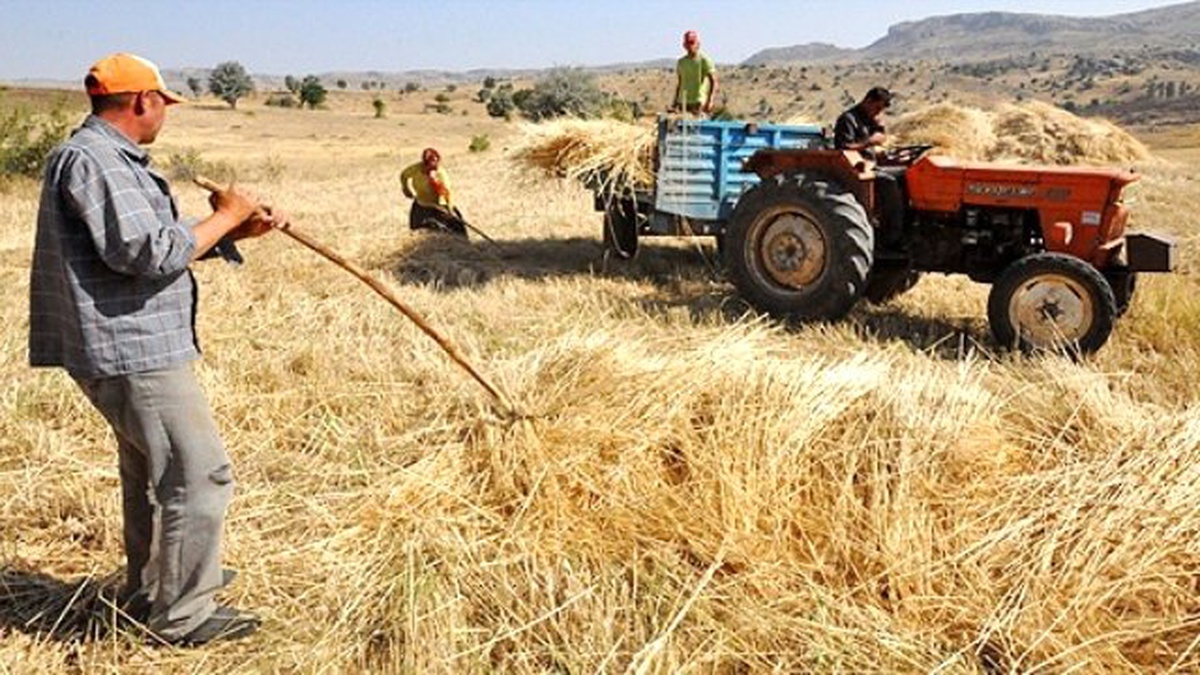 TZOB: Tarımsal Destekler İçin ÇKS\'ye Kayıt Yaptırın