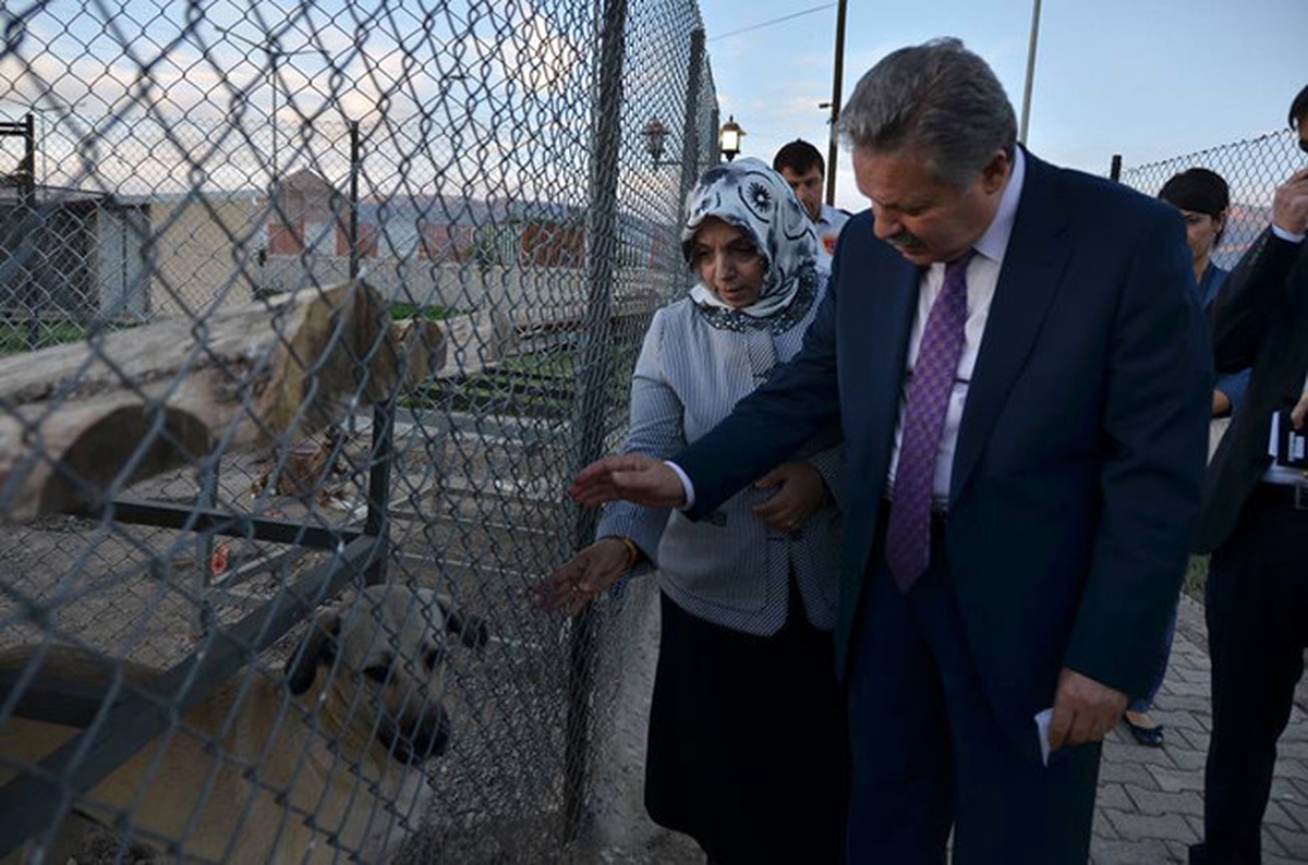 Vali Kahraman, Hayvan Barınağında İncelemelerde Bulundu